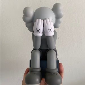Kaws open edition passing through grey